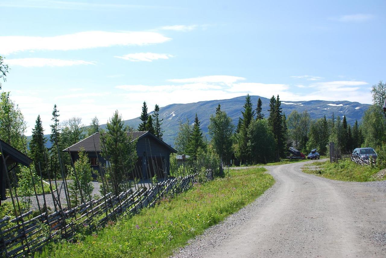 Ottsjö奥拓大熊旅馆别墅 外观 照片